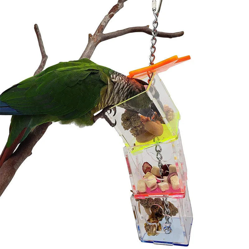Clear acrylic parrot foraging toy measuring 5x5x32cm for bird enrichment with food container