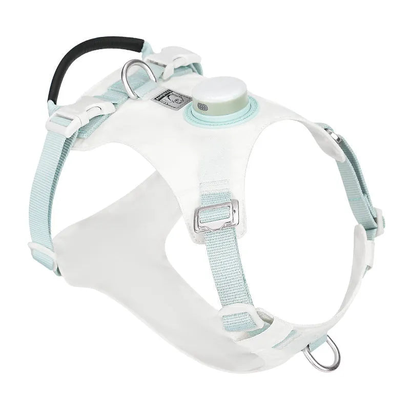 Dog wearing a nylon chest harness with integrated LED night light for evening walk safety