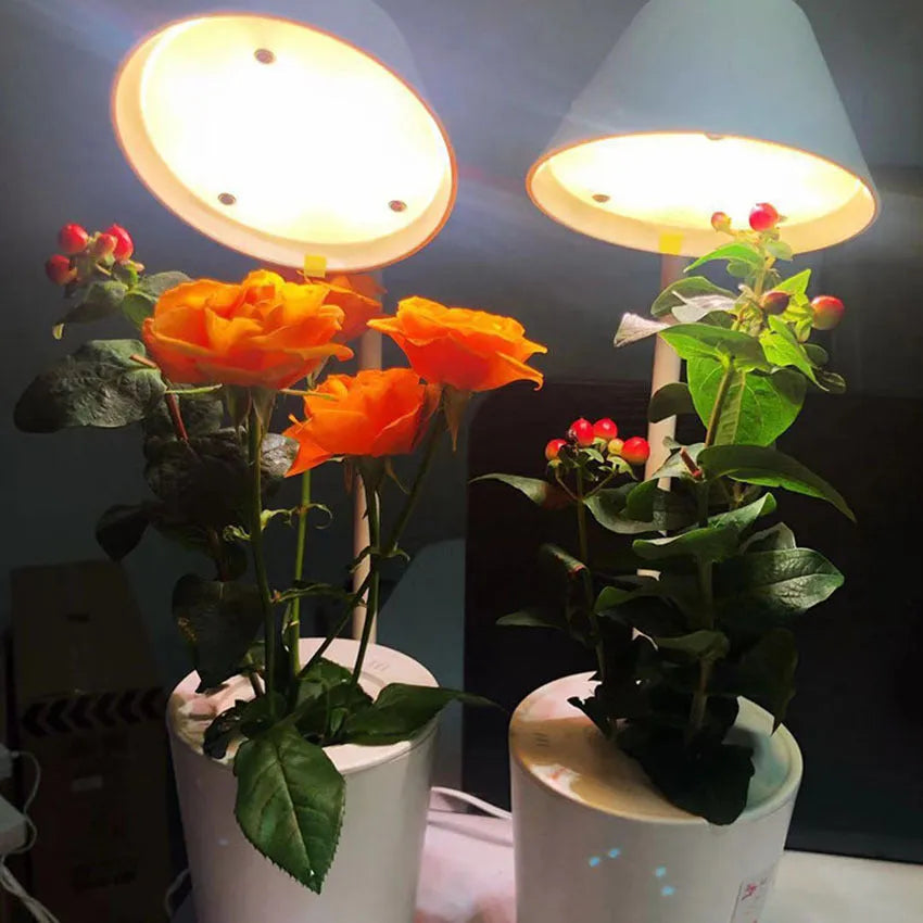 White plastic desktop hydroponic container for soilless plant cultivation