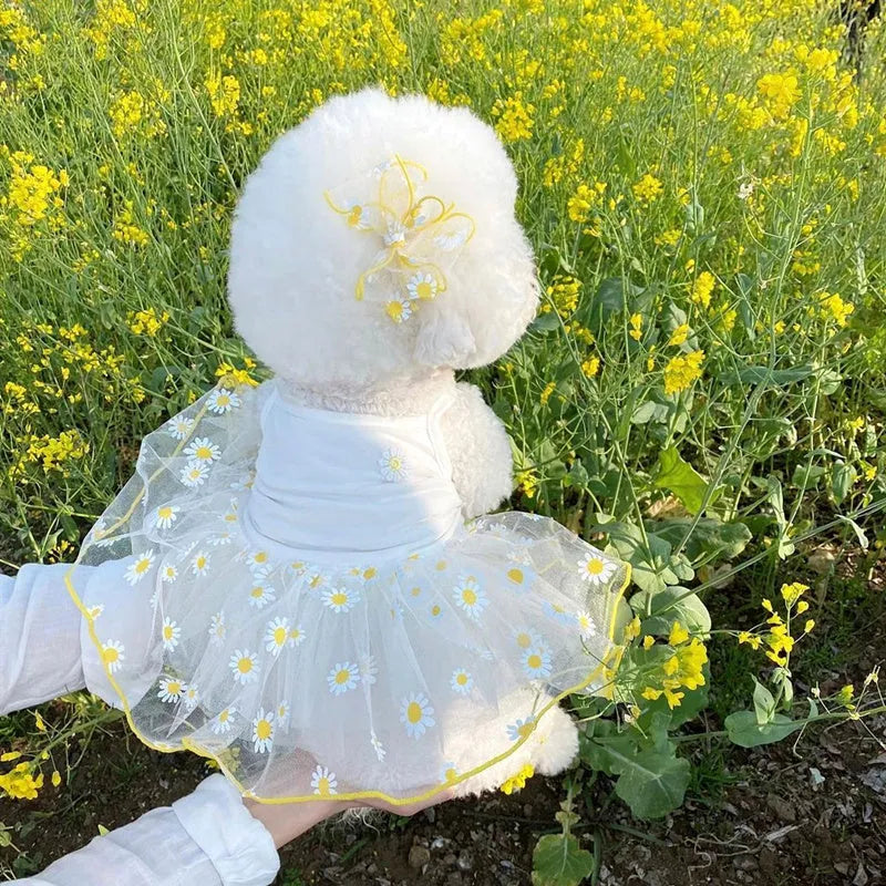 Yellow daisy pattern summer dog clothes on pet, lightweight polyester fabric