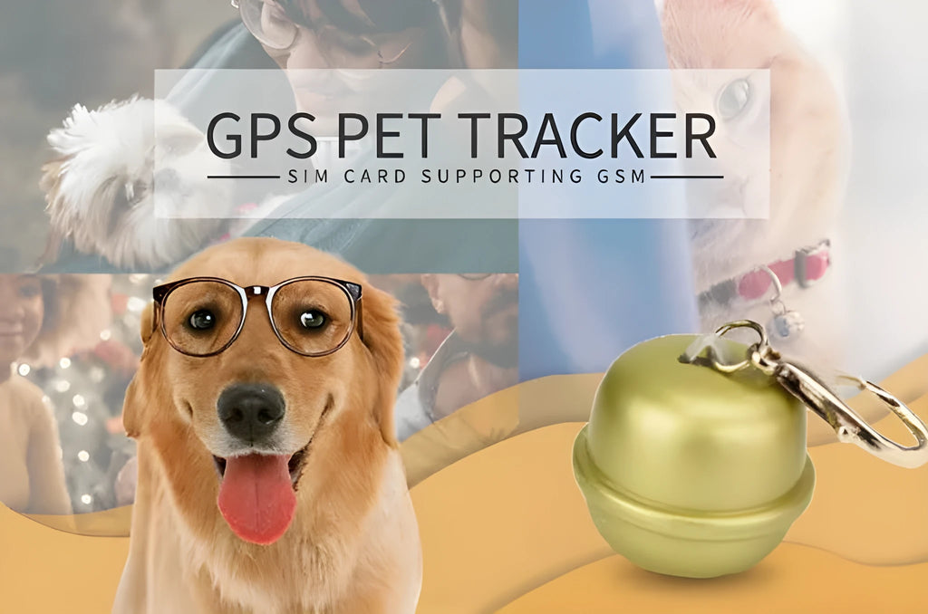 GPS dog collar pet locator in black, brown, green and pink colour options with waterproof outdoor design