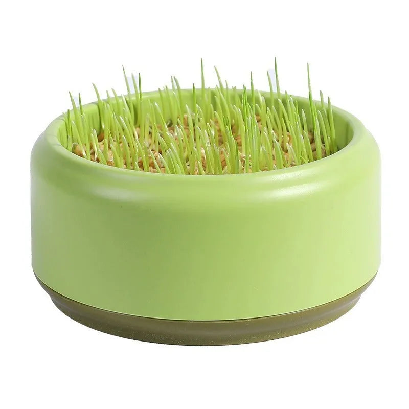Hydroponic cat grass kit with plastic cup and seed packets in blue, green, yellow colours