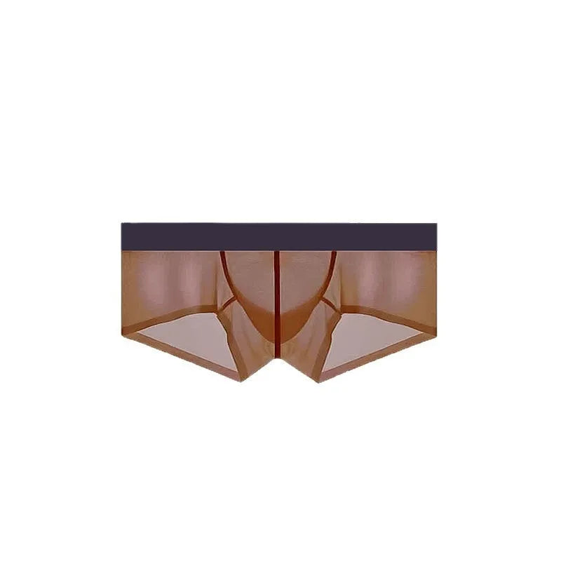Men's seamless ice silk low waist underwear in chocolate colour showing ultra-thin sheer fabric