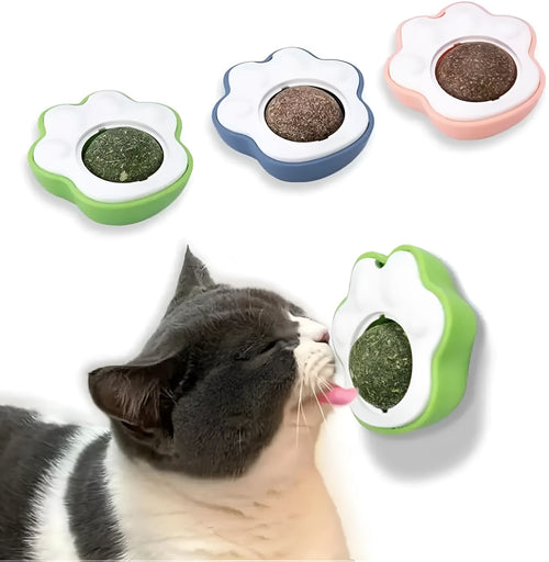 Four colourful catnip balls with textured surfaces for dental cleaning and interactive play