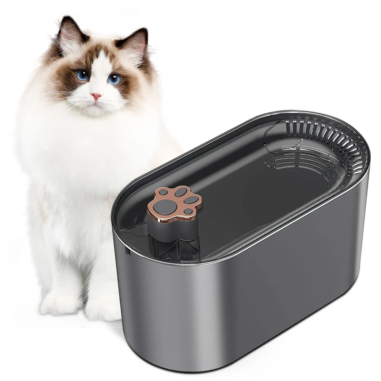 3L automatic pet water fountain in Berlin blue with quiet pump, filtration system, and LED indicator