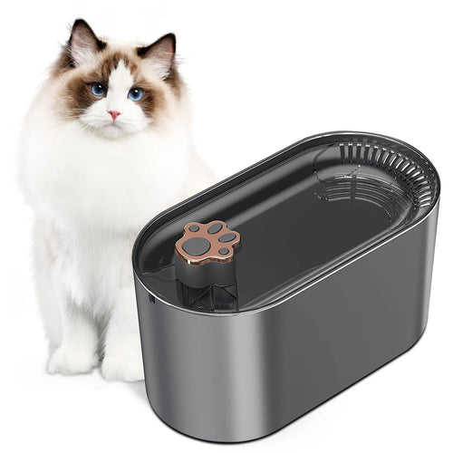 3L automatic pet water fountain in Berlin blue with quiet pump, filtration system, and LED indicator
