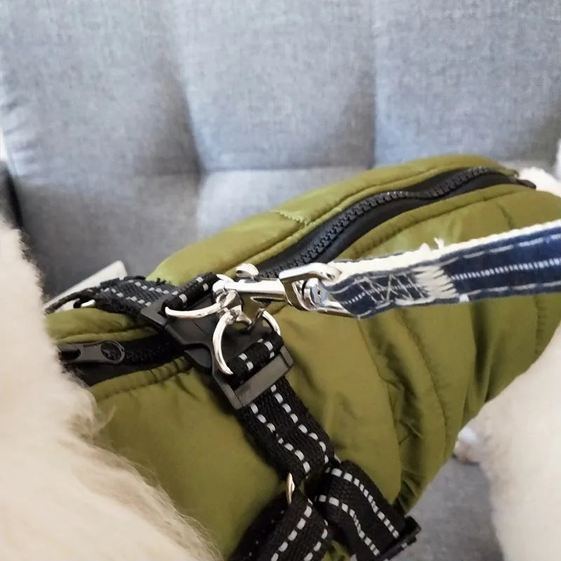 Red waterproof dog coat with integrated harness on a Labrador.