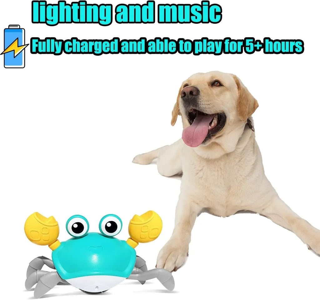 Blue or red electronic crawling crab dog toy with sensors, lights, on floor.