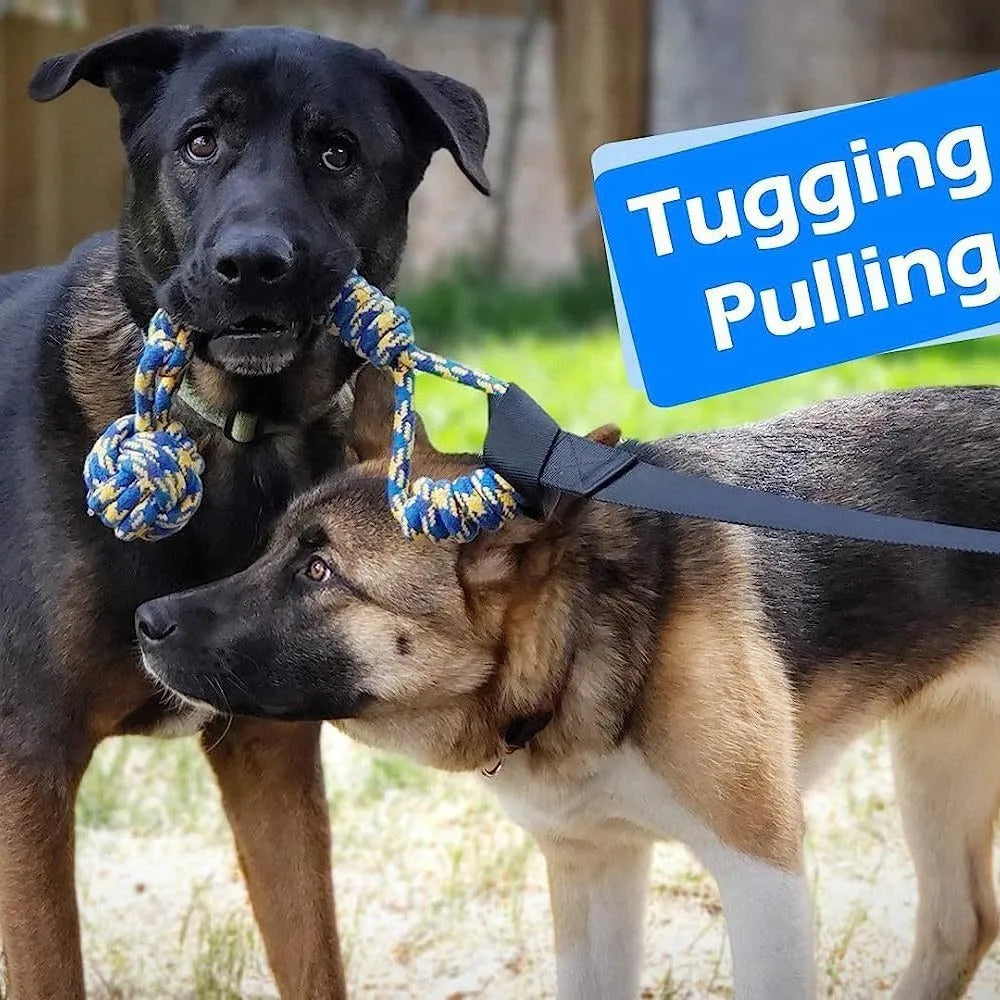 Green cotton rope dog tug toy with corncob design for interactive pull and chew play