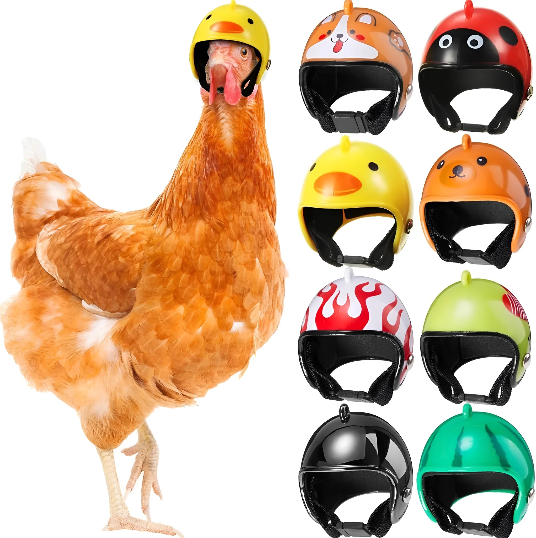 Adjustable pet helmet for small chickens and birds with elastic bands and costume designs