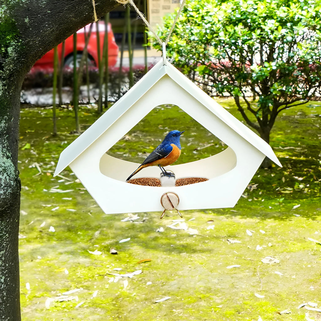 Simple European-style iron bird food nest in black or white for outdoor garden decoration.