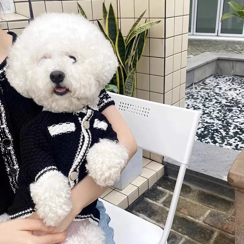 Korean-style white puppy sweater with pearl collar on small dog showing princess cut design
