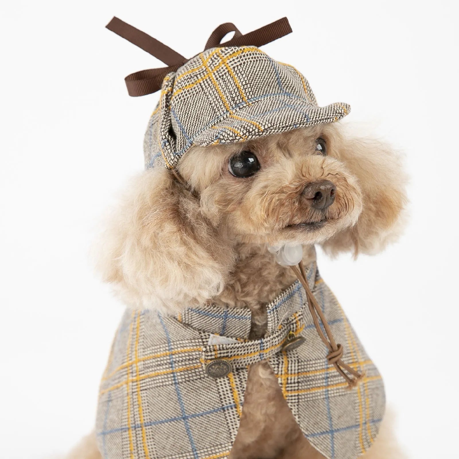 Camel coloured cotton pet cloak with adjustable hat shown in cloak style for dog wear