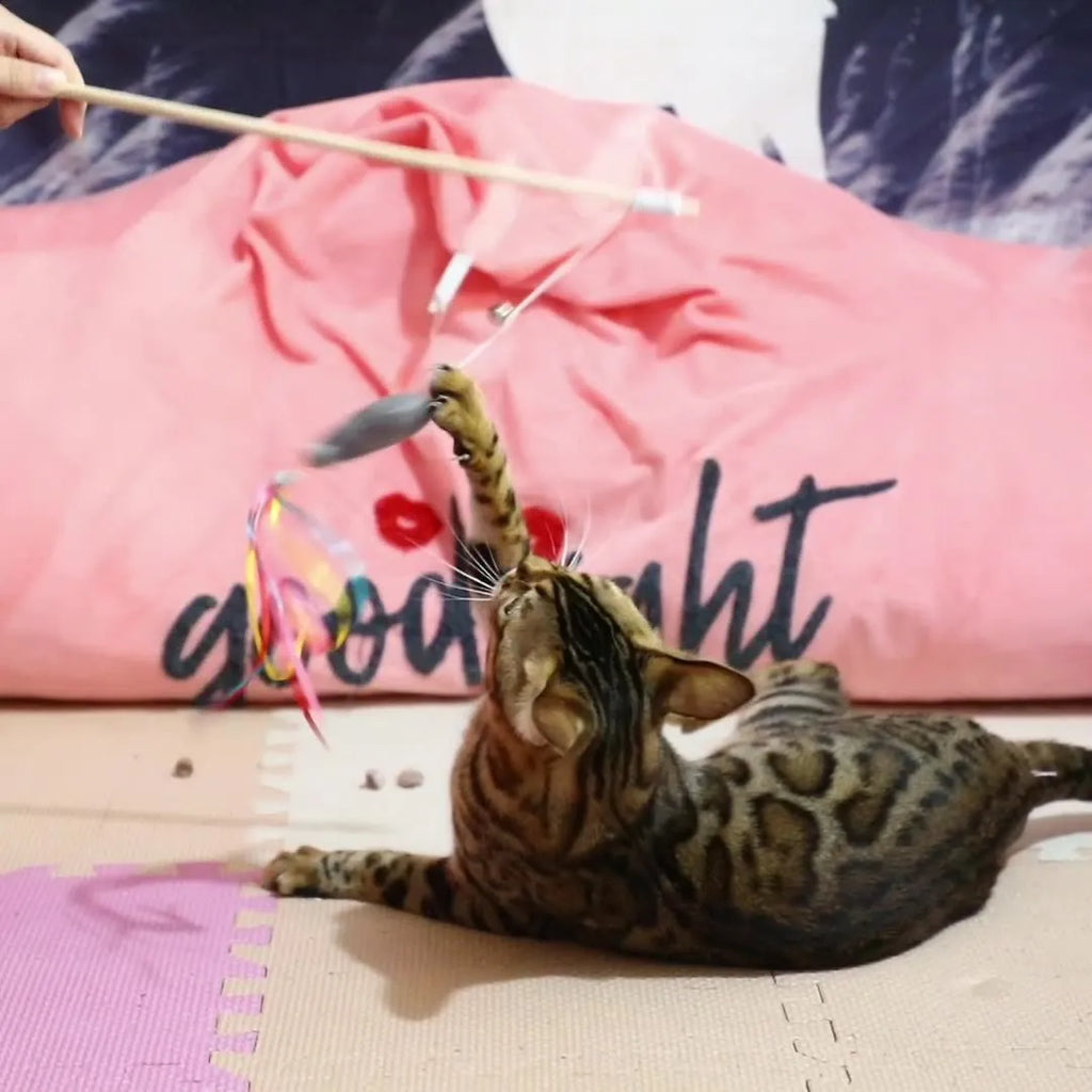 Cat wand toy with colourful ribbons, catnip fish and bell on wooden handle
