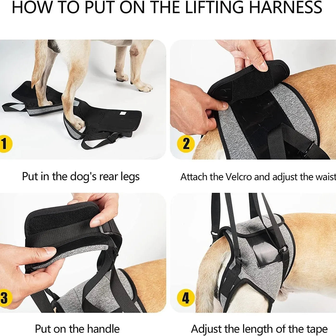Grey neophene dog rear leg recovery support belt with adjustable waist and thigh straps