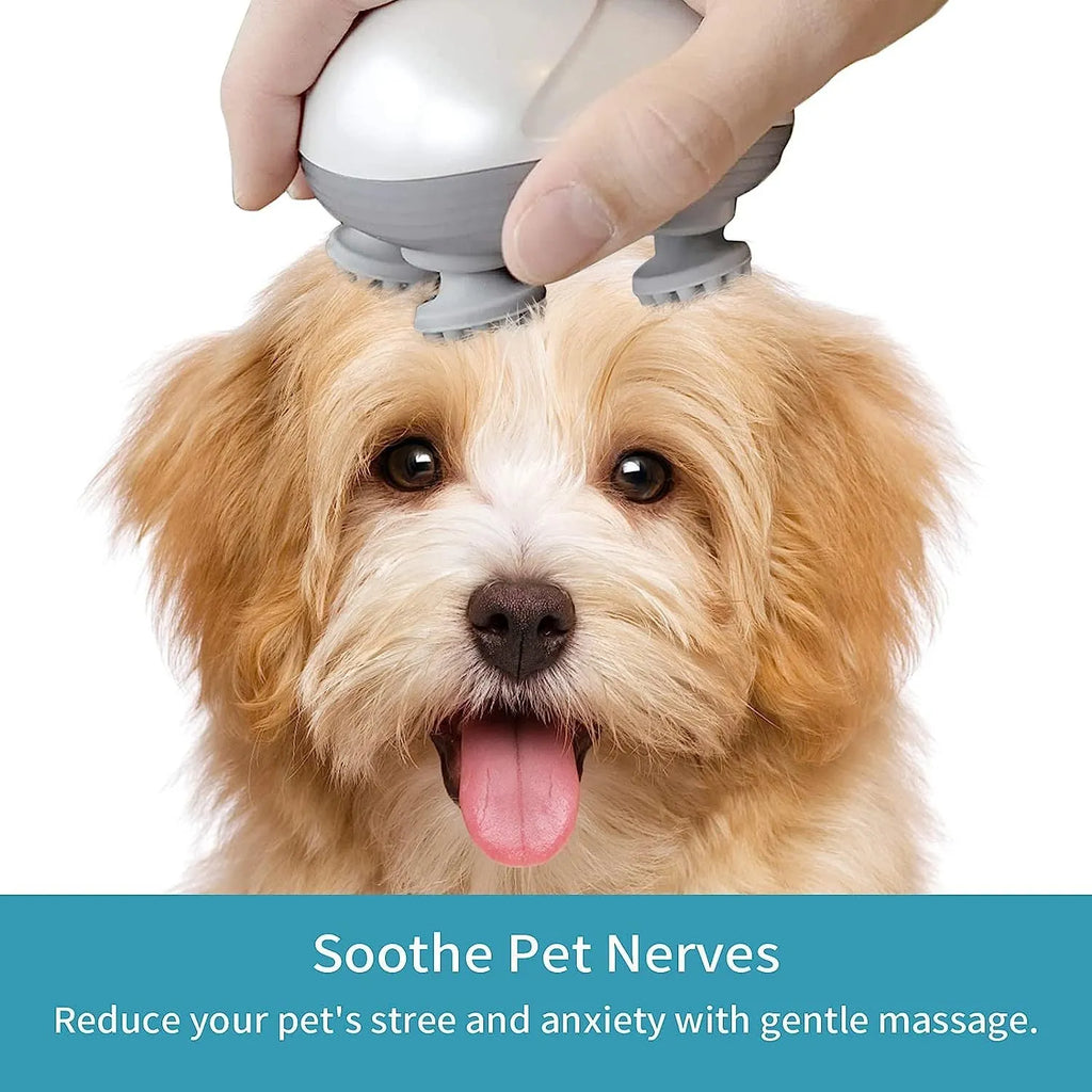 Blue handheld electric pet massager with four rotating silicone heads on a white background.