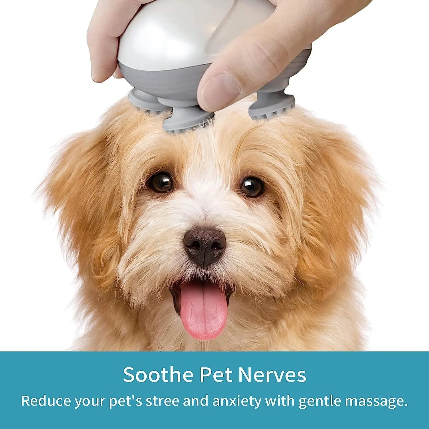 Blue handheld electric pet massager with four rotating silicone heads on a white background.