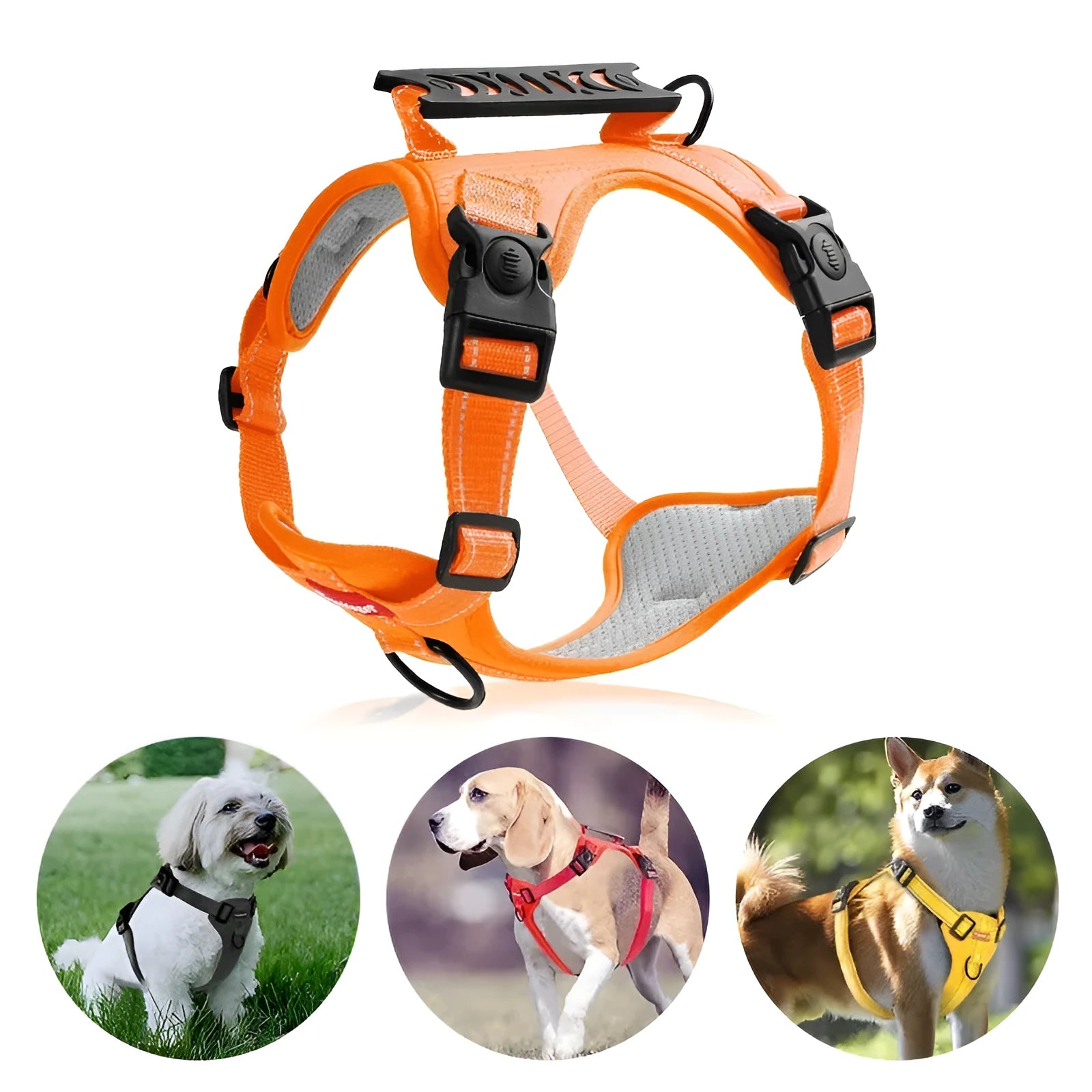 Adjustable polyester dog chest harness traction rope available in multiple colours and sizes