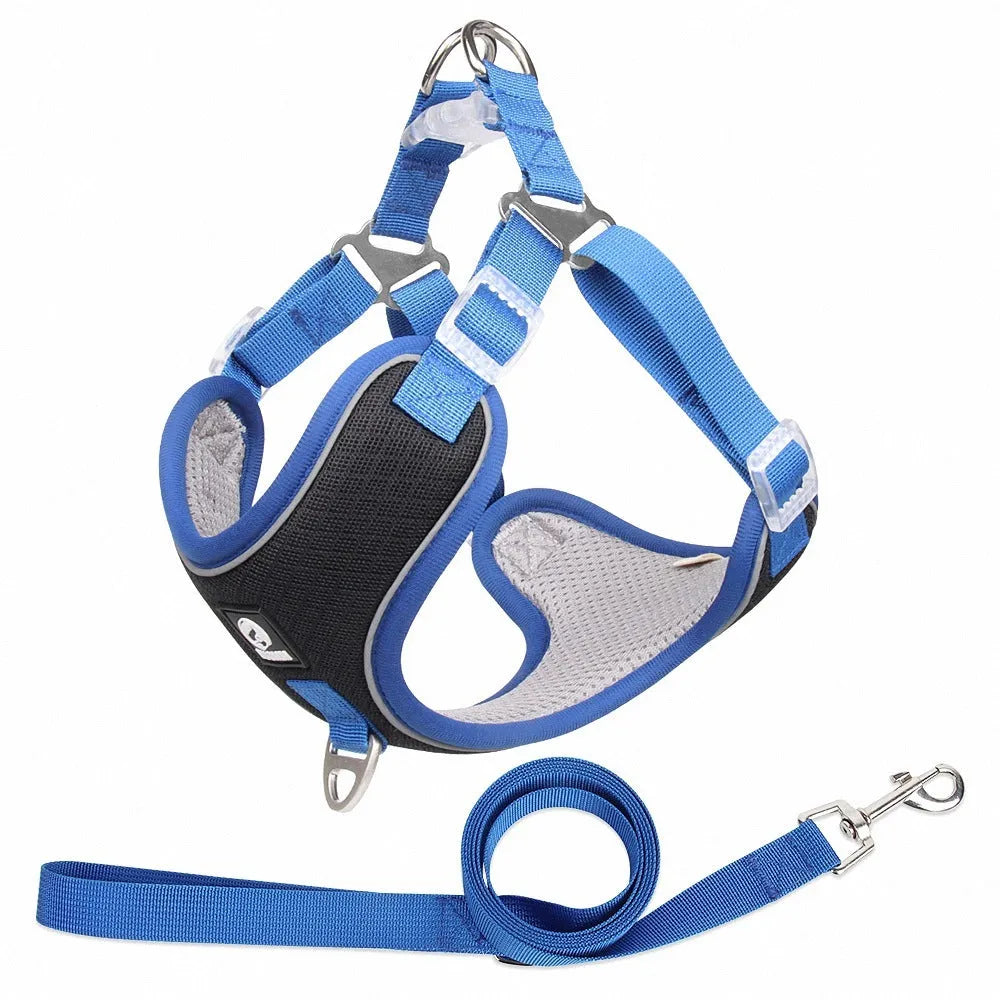 Adjustable breathable mesh dog harness with reflective piping in black colour showing chest strap design