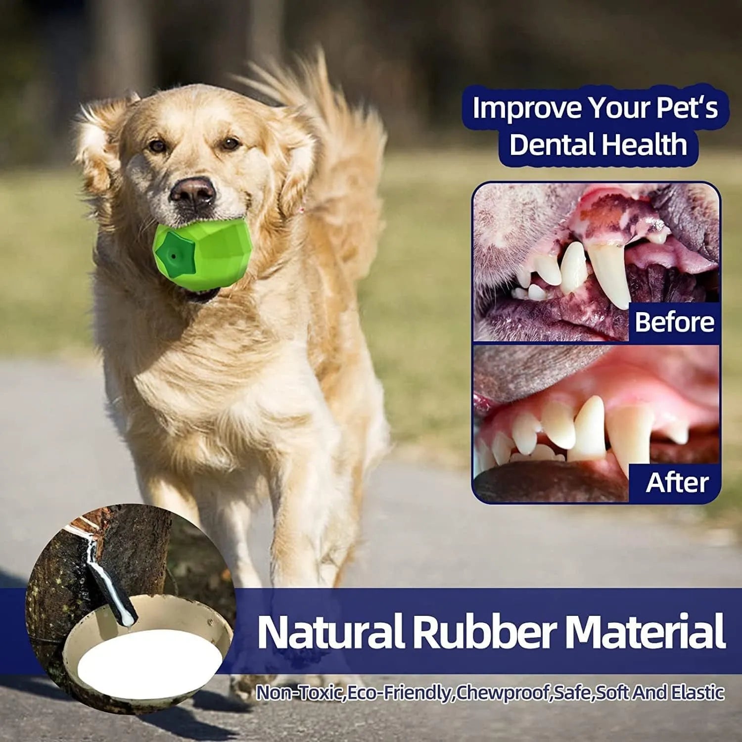 Green beef-flavoured squeaky dog ball for aggressive chewers made from natural rubber