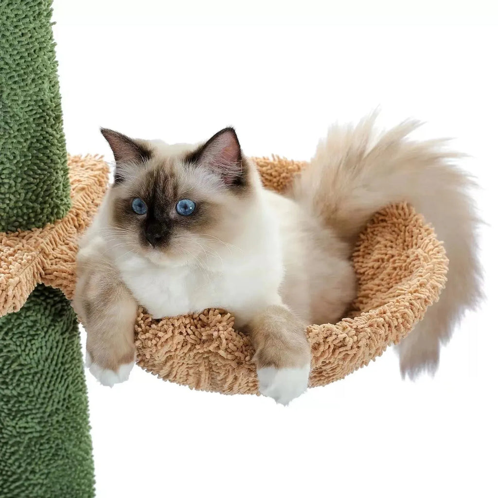 Solid wood cat climbing frame with integrated scratch board and cat nest measuring 240-260cm tall