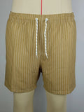 Striped casual shorts in light blue, shown front-on, with straight leg opening.
