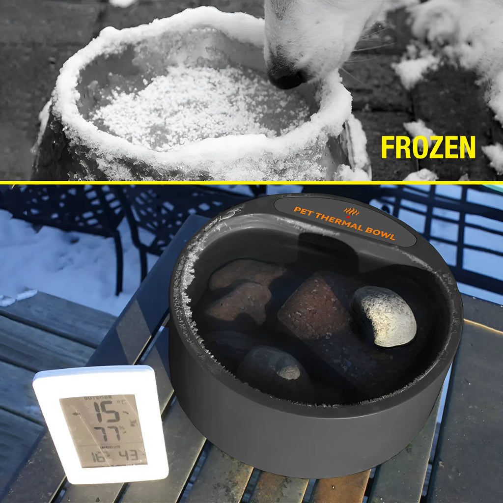 Black pet heating bowl for cats and dogs with 2.2L capacity and constant temperature feature