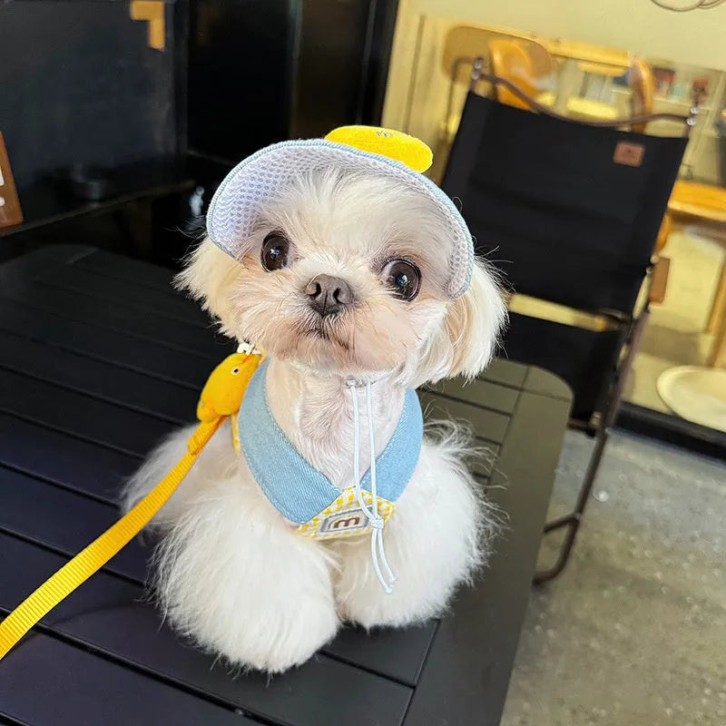 Three piece pet set with wire rope leash harness and cute hat for cats and dogs