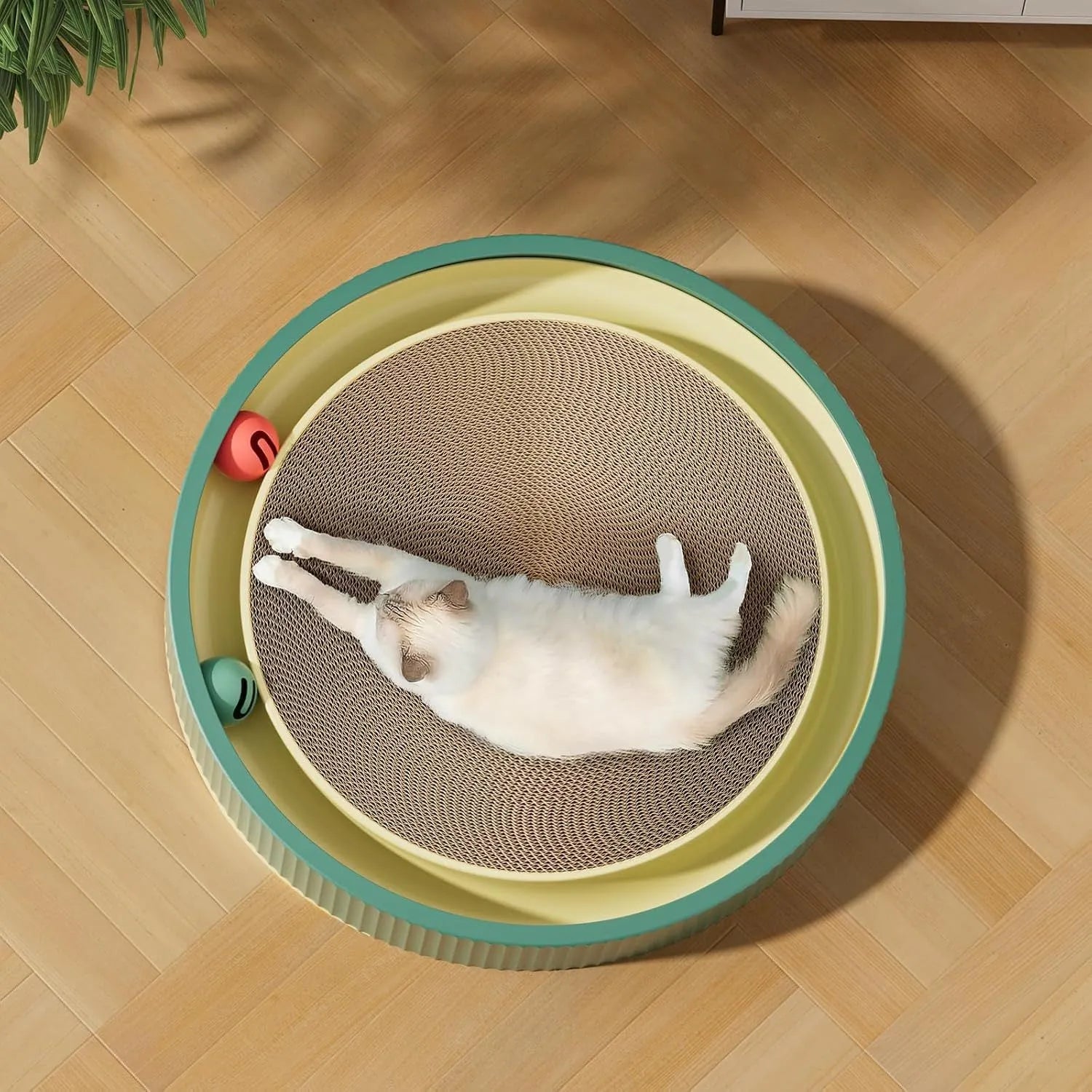 Large circular cat scratching board with bell toys and replaceable cardboard core