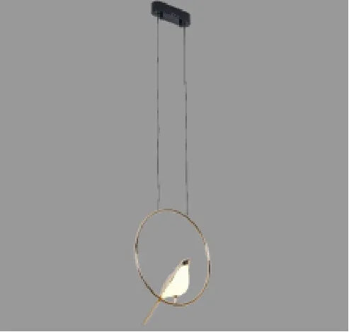 Modern simple iron chandelier hall lamp with aluminium alloy body and adjustable height.