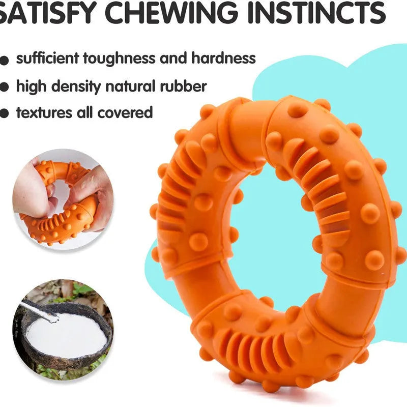 Blue durable plastic dog fetching stick toy with hollow centre for chewing and floating.