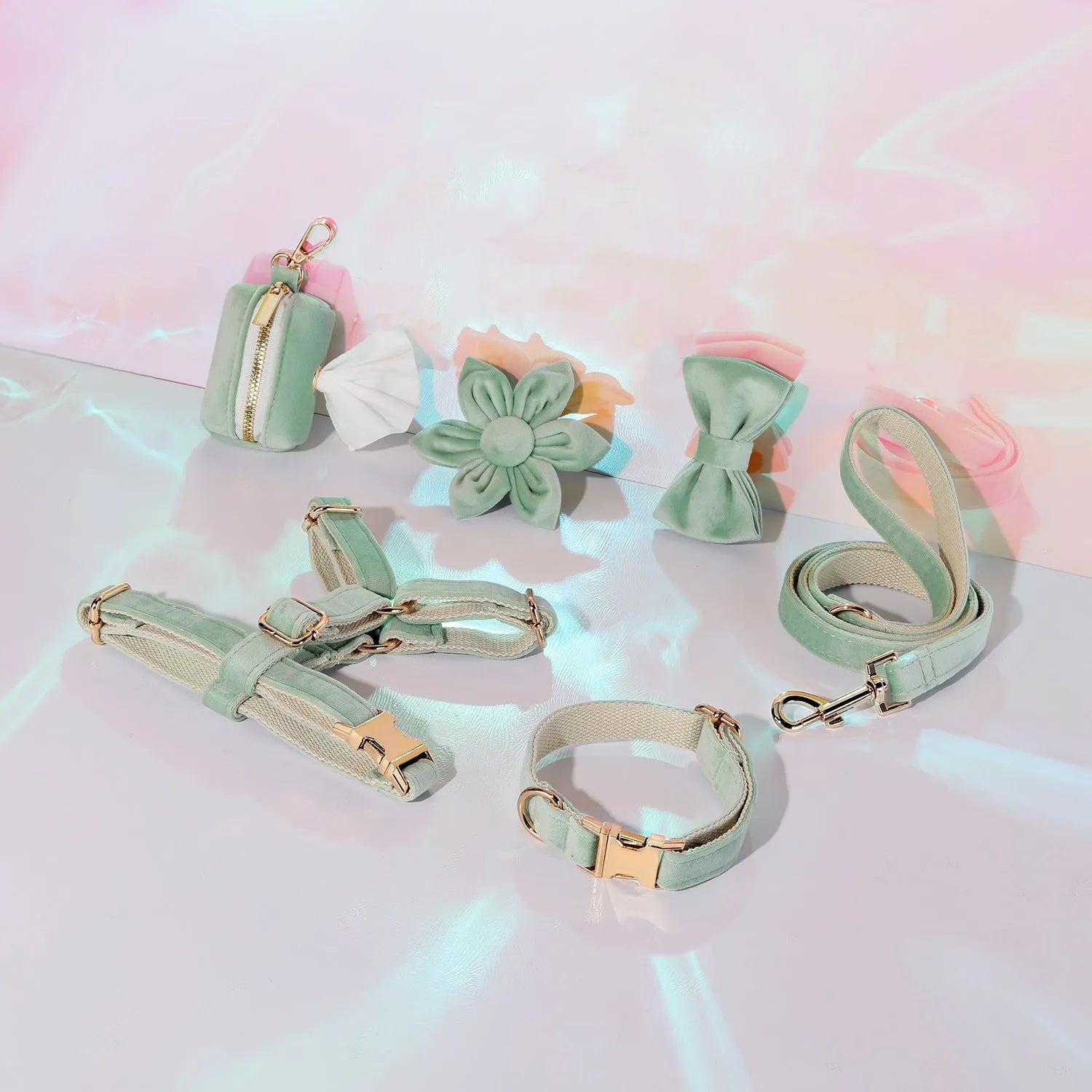 Velvet pet collar and traction rope set with bow tie and flower accessories in multiple colour options