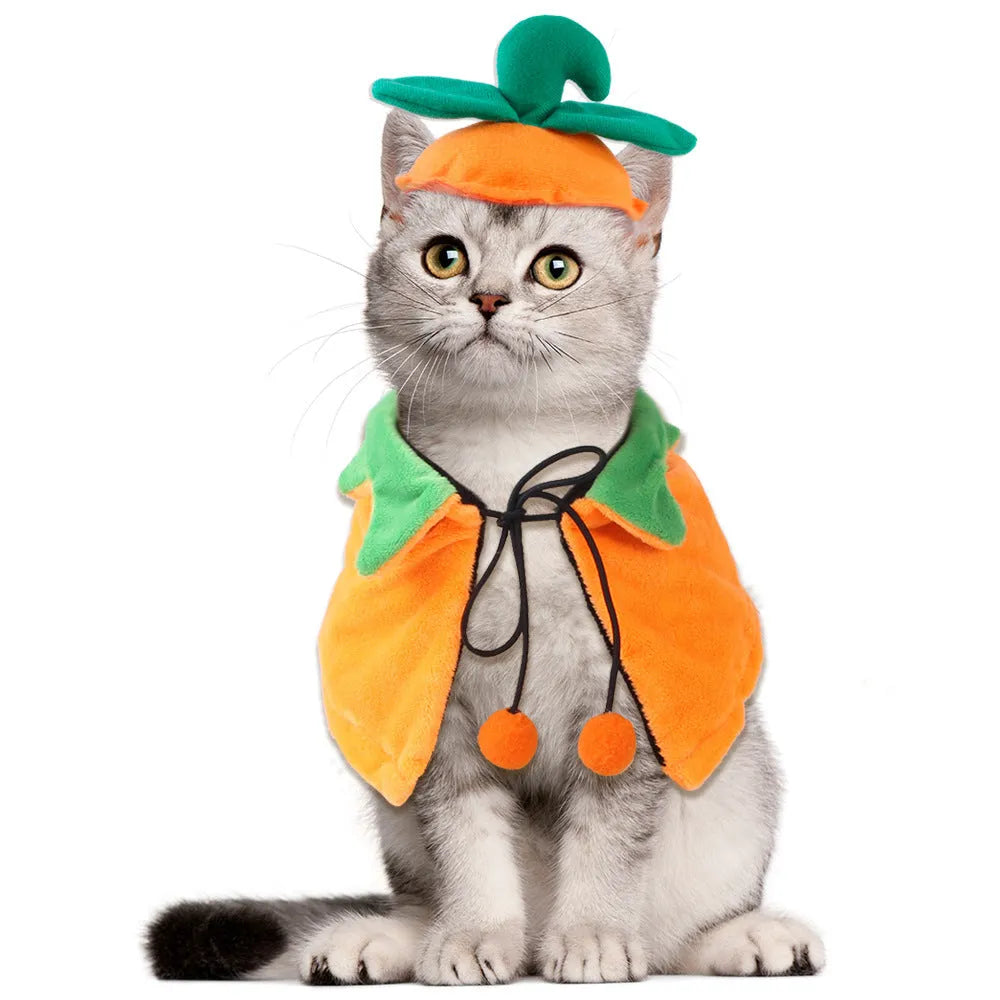 Orange plush Halloween cloak with pumpkin design on a dog, showing cloak and matching hat options.