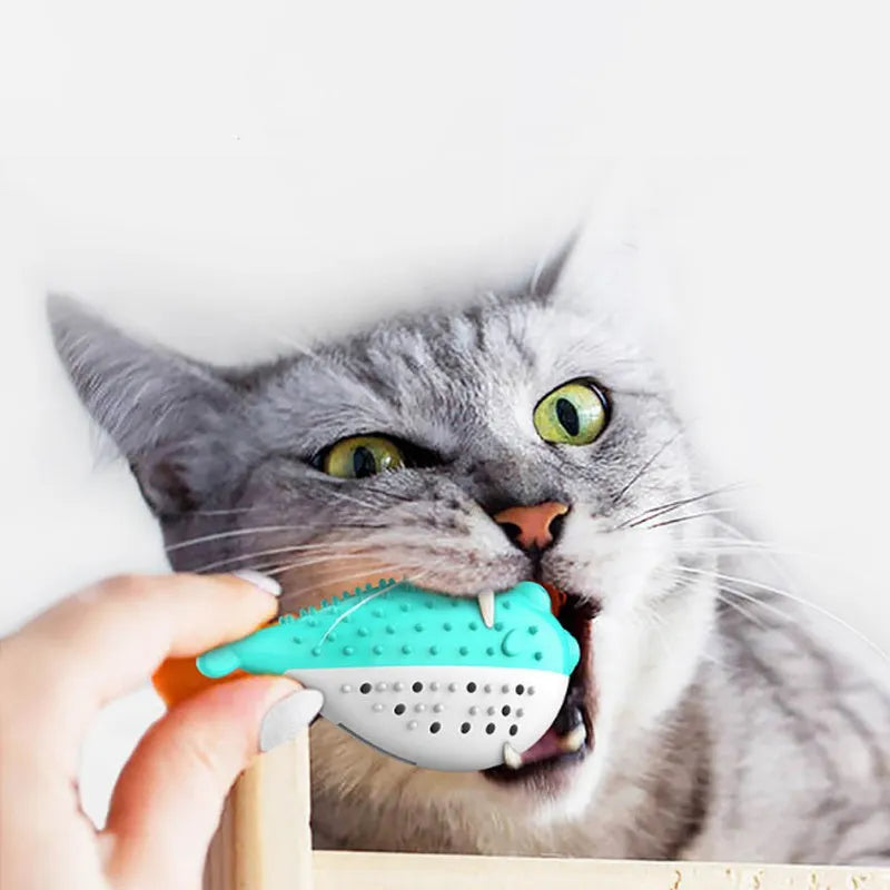 Mint Toys fish-shaped silicone cat chew toy with toothbrush feature in blue, green, pink, or yellow