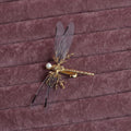 Golden dragonfly side clip headdress with alloy construction and electroplated finish