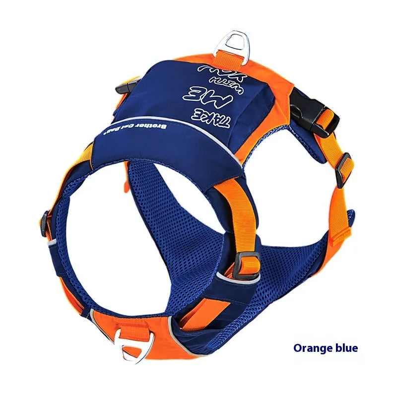 Orange blue nylon vest-style dog harness on a medium-sized dog.