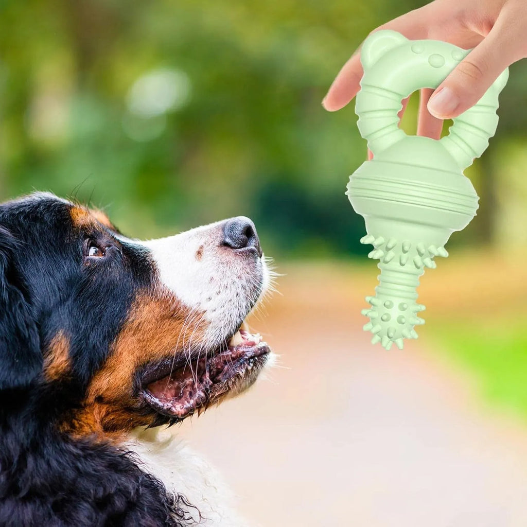 Blue rubber dog chew toy with textured surface and internal bell, shown next to a tape measure indicating 13.5 cm length.