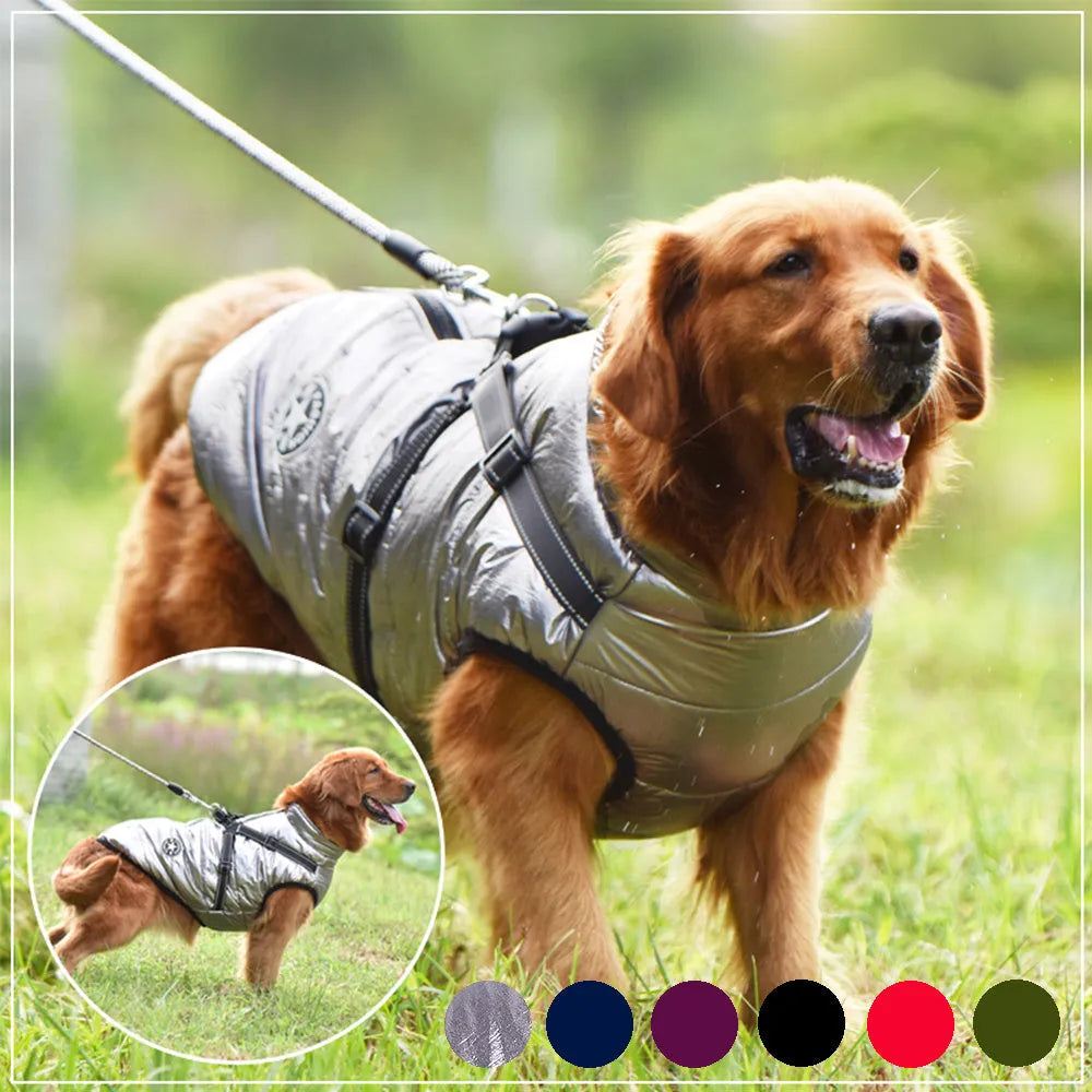Red waterproof dog coat with integrated harness on a Labrador.