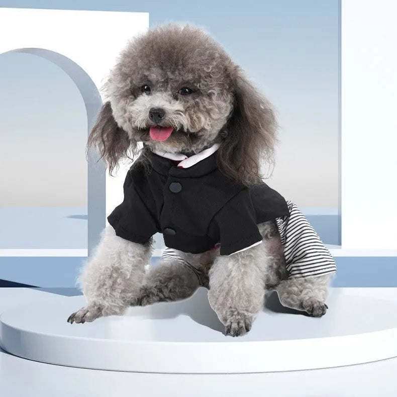 Cotton poodle dog clothing in skirt and four-foot pants styles for seasonal wear