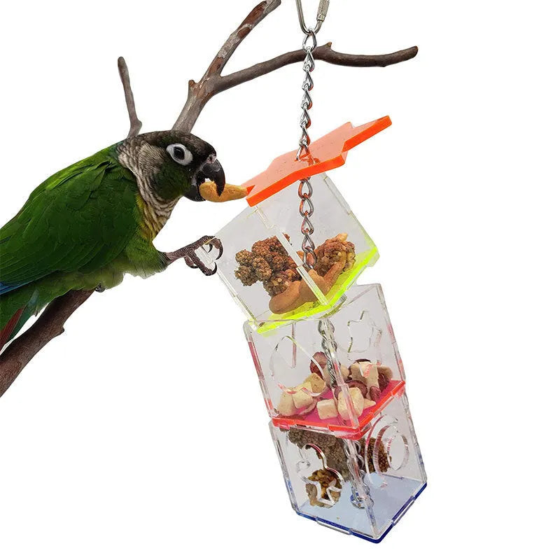 Clear acrylic parrot foraging toy measuring 5x5x32cm for bird enrichment with food container