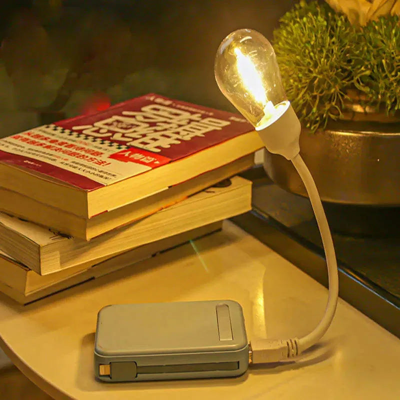 USB rechargeable folding night light with adjustable arm and tungsten S14 bulb