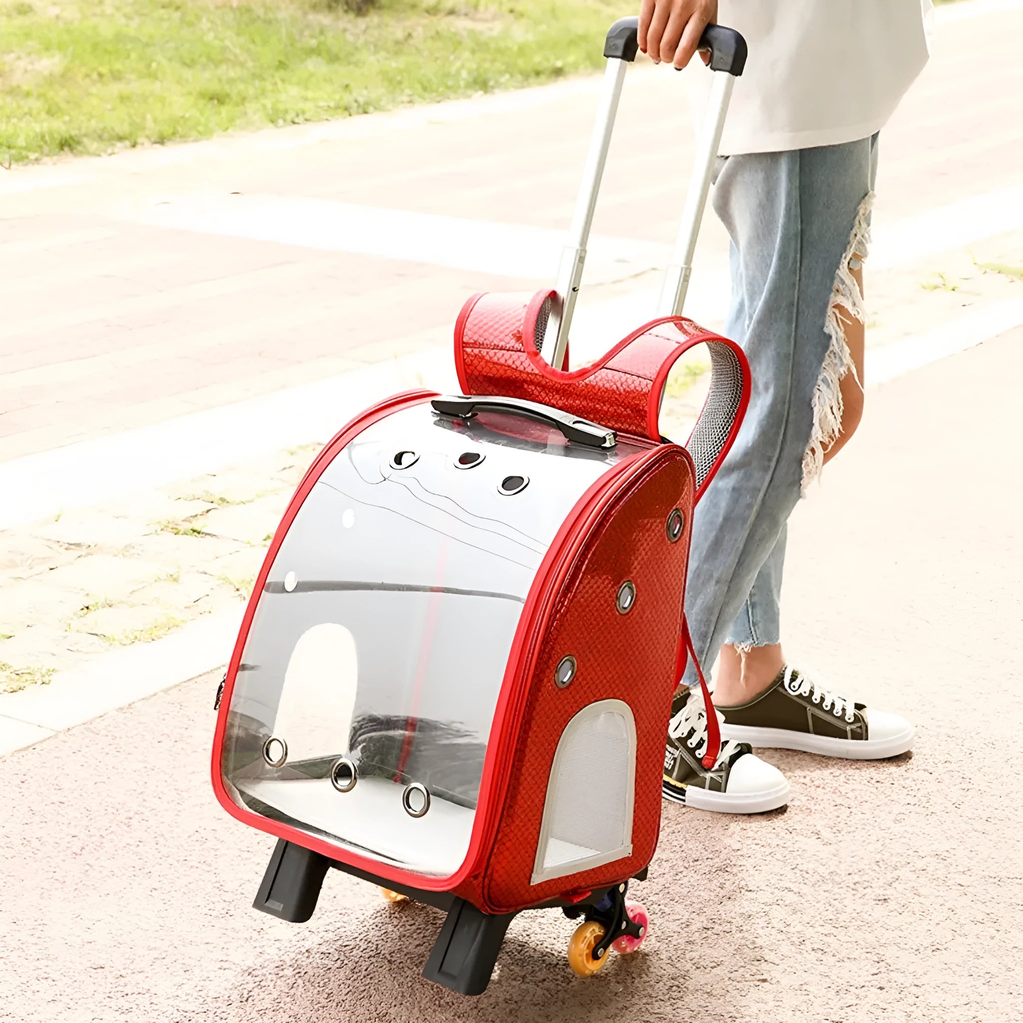 Blue pet trolley bag with transparent acrylic cover showing shoulder strap and trolley wheels