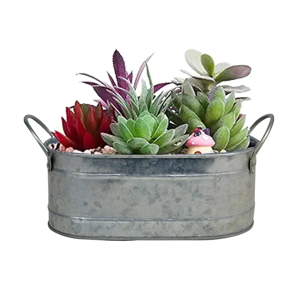 Iron sheet succulent flowerpot for desktop use with corrosion-resistant metal construction