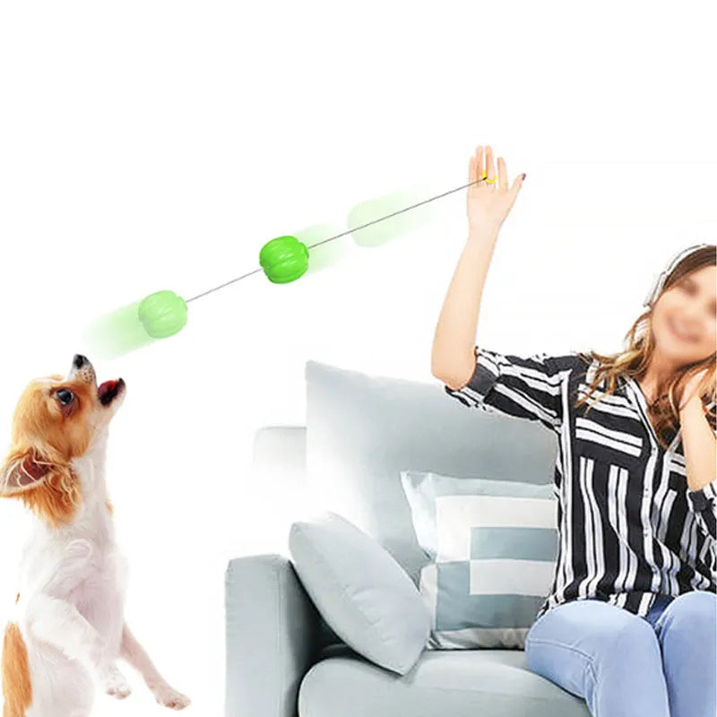 Orange plastic squeaky dog ball with Halloween pumpkin design for small breed chewing and training