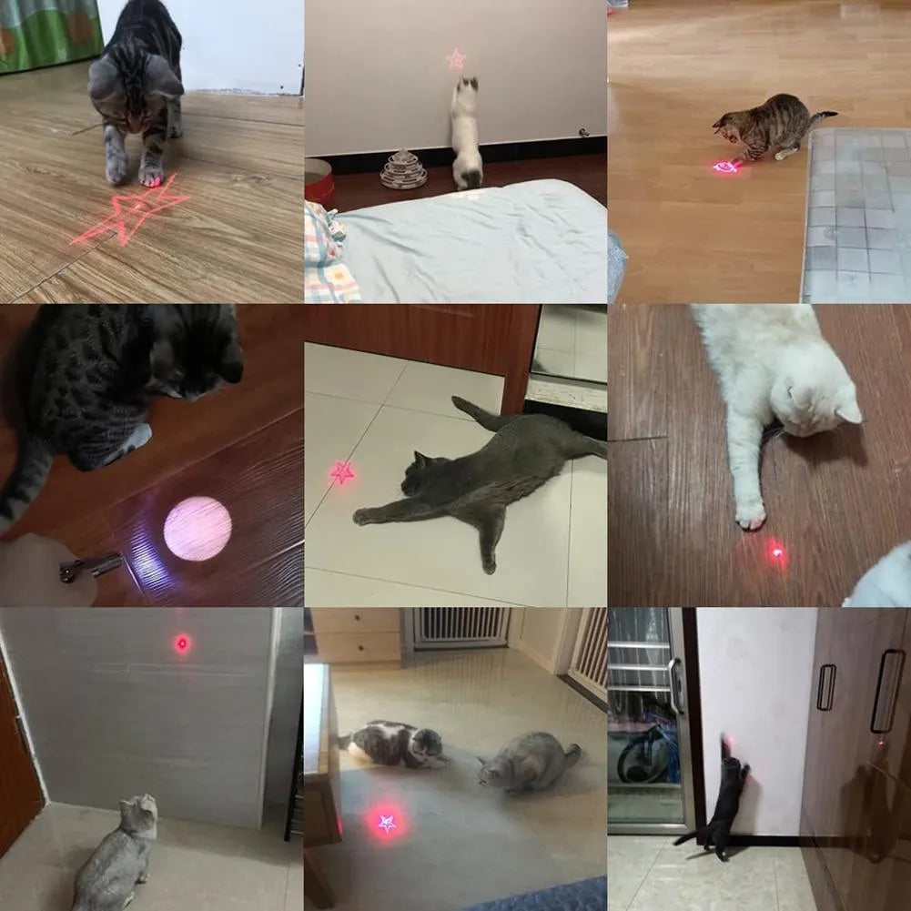 USB rechargeable infrared cat teaser toy with key chain in black or pink colours