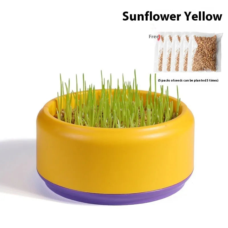 Hydroponic cat grass kit with plastic cup and seed packets in blue, green, yellow colours
