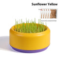 Hydroponic cat grass kit with plastic cup and seed packets in blue, green, yellow colours