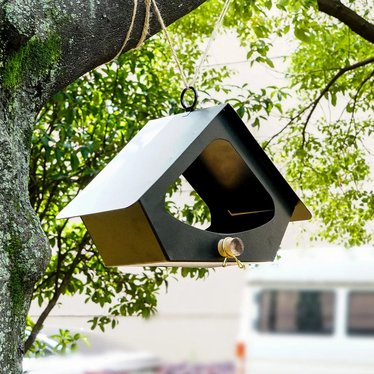 Simple European-style iron bird food nest in black or white for outdoor garden decoration.
