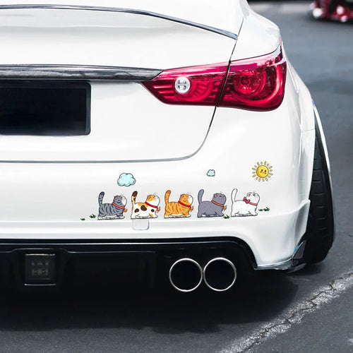 Car sticker with five cats climbing design in waterproof PVC material available in L, M, S sizes
