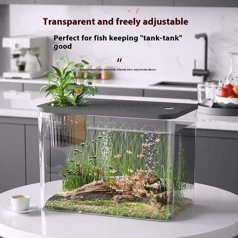 Plastic betta fish tank with cover in black or white colour, 32cm long medium size aquarium